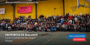 8 53 - malleco-angol